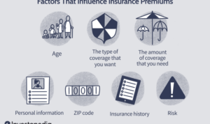 Insurance premium calculation