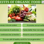 Organic food benefits